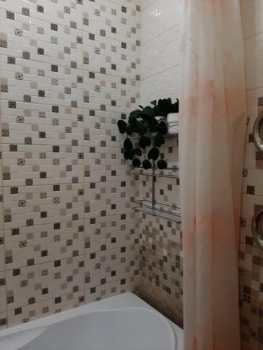 Apartamento ???????????? ??? ?? ???????