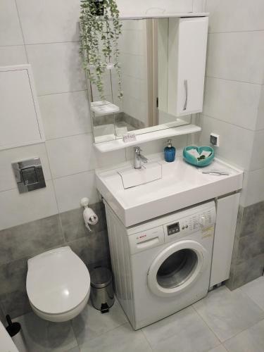 Apartamento ???????? ??????