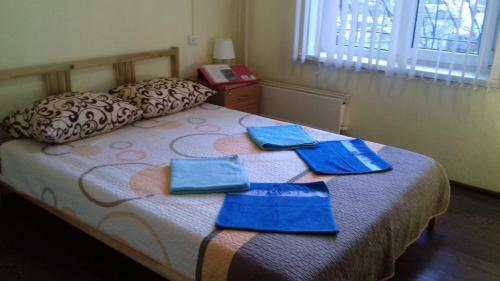 Albergue ?????? ????????