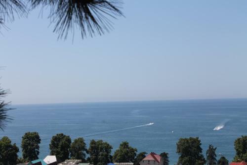 Hostal Guest House Blagoe