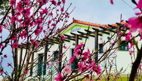 Galini Apartments