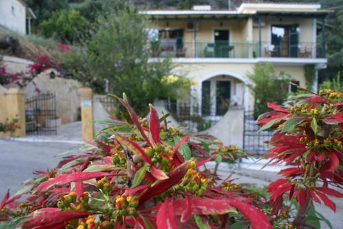Apartamento Felicita - Balis