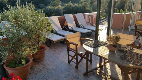 Apartamento Alipa Studios