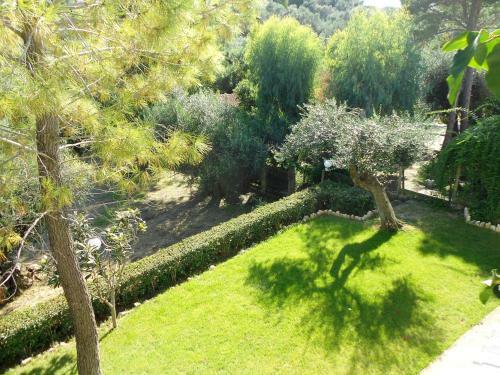 Apartamento Anemona Studios