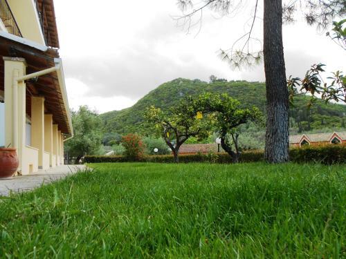 Apartamento Anemona Studios