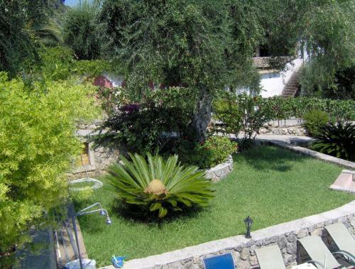 Apartamento Aphrodite Studios & Pool