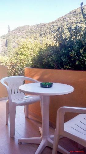 Apartamento Afrodite's Pool And Studios