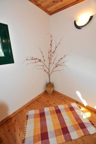 Apartamento Pieros Studios Lisipios