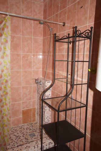 Hostels Orion