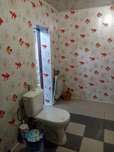 Albergue ?????? ????????