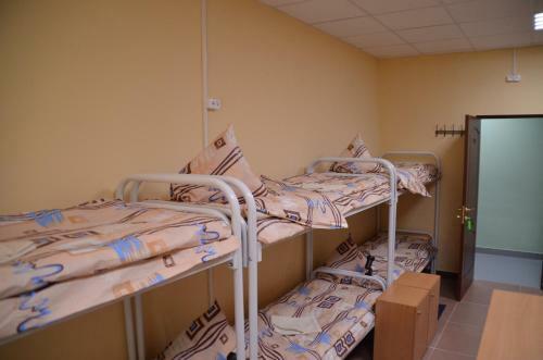 Albergue ?????? ???????