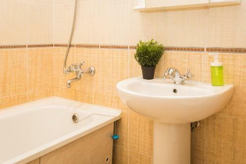 Apartamento Homehotel ?????????? 139