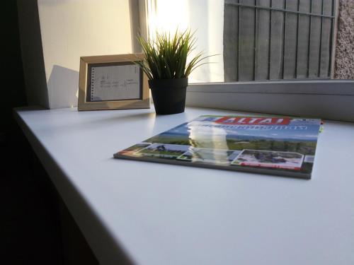 Apartamento ???????????????? 26-22/3