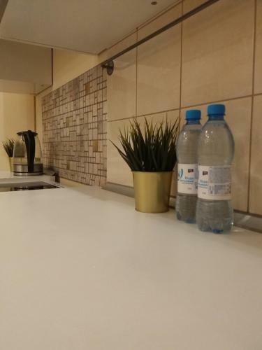 Apartamento ??????????? 1? ????? ??? ???????