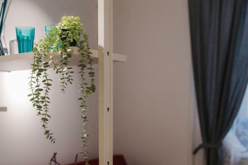 Apartamento ??????????? ??????