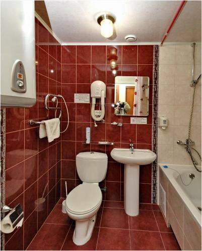 Mini-hotel Astra