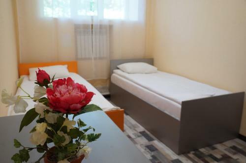Hostel Kamchatskiy