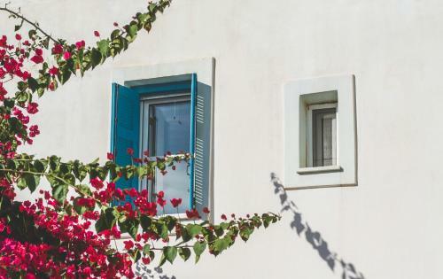 Villa Andros Maisonettes