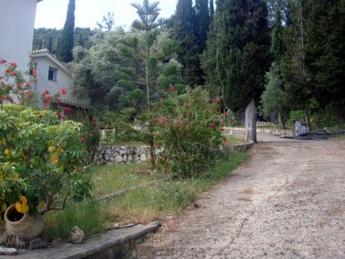 Apartamento Villa Evgenia Lefkada
