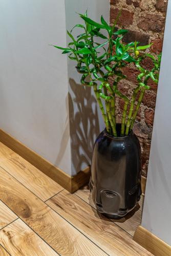 Apartamento Zen Hermitage