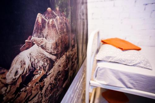 Hostel Petya And The Wolf - V.o.