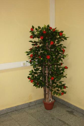 Albergue Hotelhot Sheremetyevo