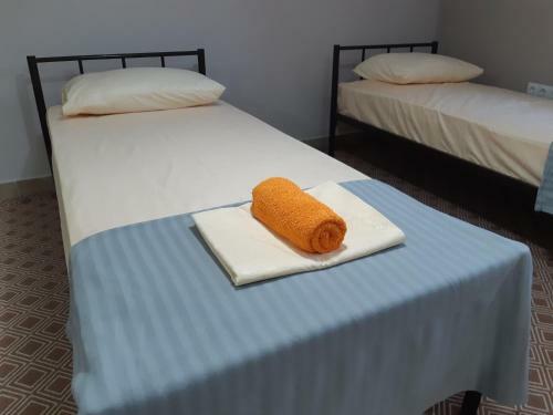 Albergue ?????? ????????