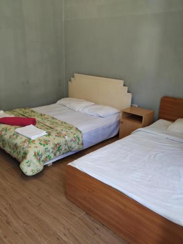 Albergue ???????? ??? ?? ?????? 30