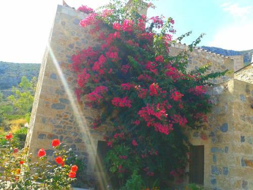 Hostal Lithochtisto