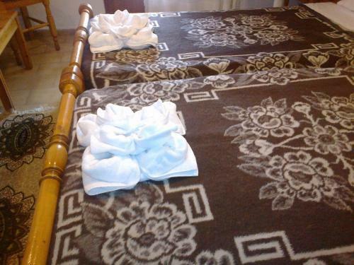 Hostal Alkithea