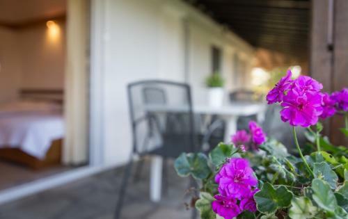 Linaraki Studios & Apartments