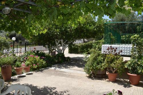 Apartments Rania