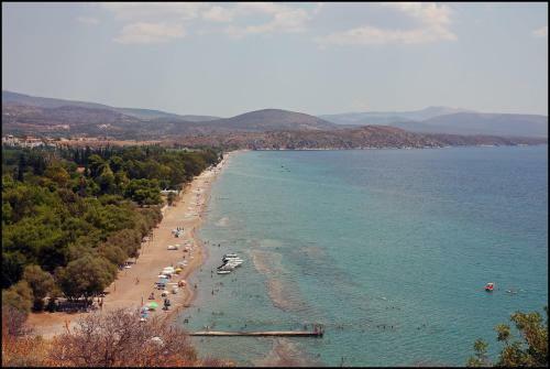 Barbaressa Studios & Apartments