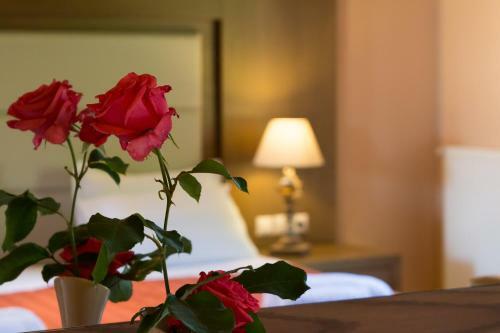 Apartamento Vicky Studios