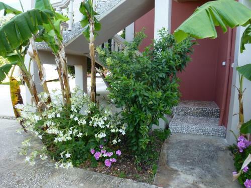 Apartamento Marinos Studios