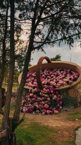 Hotel Rawaat Ghaym