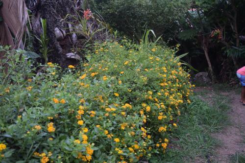 Lodge Secret Garden Villa