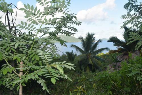 Lodge Secret Garden Villa