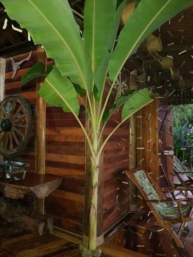 Lodge Secret Garden Villa