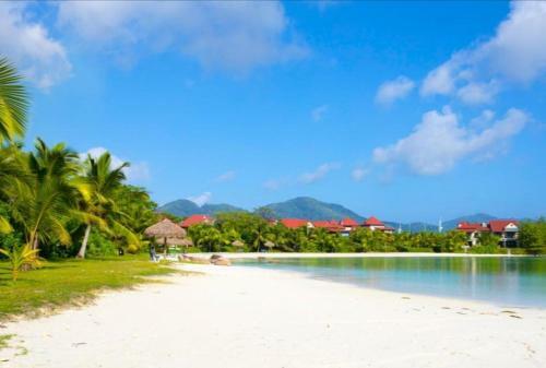 Apartamento Eden Tropical Nest - P146a13