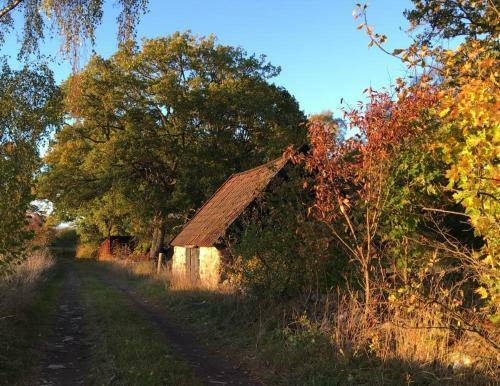 Hostal Rosenborgs Friluftspensionat