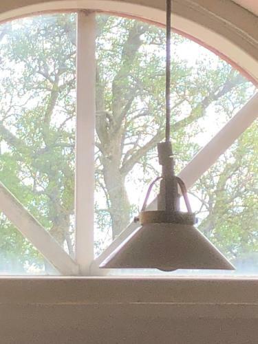 Olssons B&B