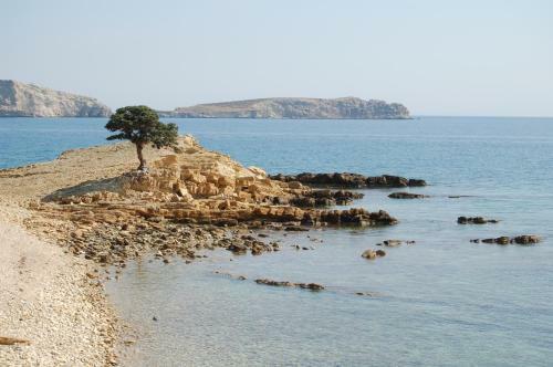 Aparthotel Calypso Hotel