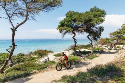 Sani Beach Hotel & Spa