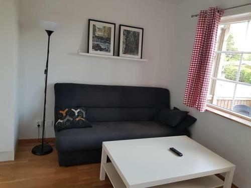 Mov�nta Camping