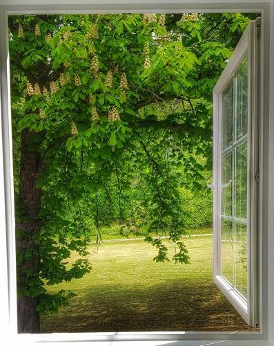 Lundsbrunn B&B