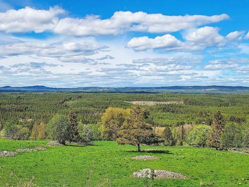 Holiday Home Skattungbyn Orsa