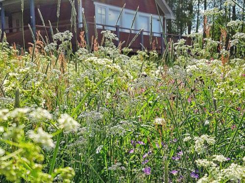 Holiday Home Skattungbyn Orsa
