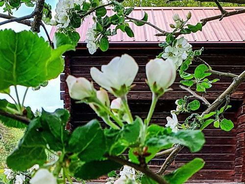 Holiday Home Skattungbyn Orsa