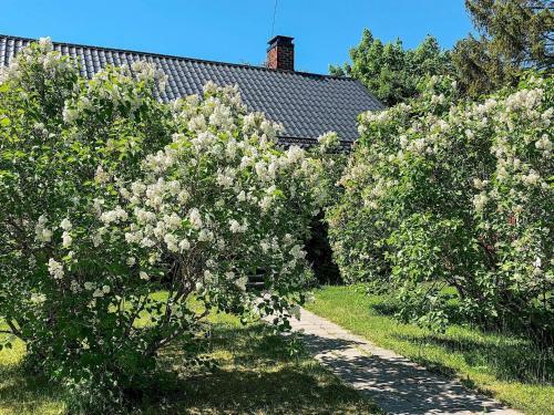 Holiday Home V�dd� III